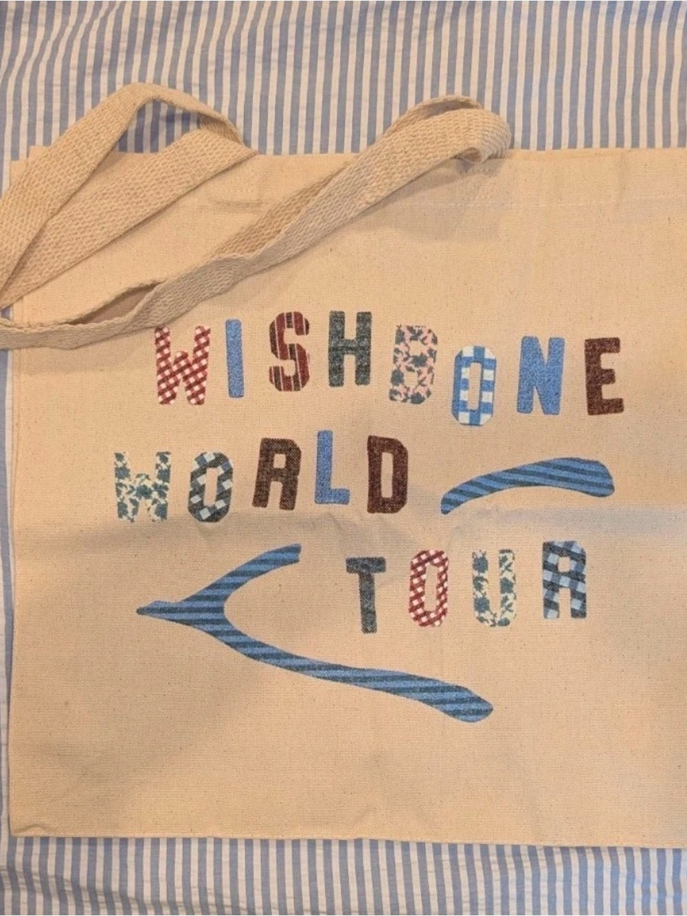 Wishbone World Tour VIP tote bag and confetti Conan Gray